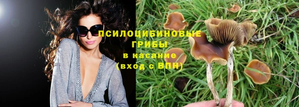 МДПВ Вязьма